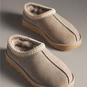 Tasman Ugg Slippers